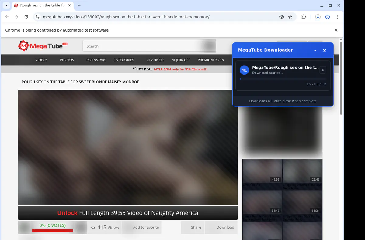 Megatube Video Downloader screenshot 2