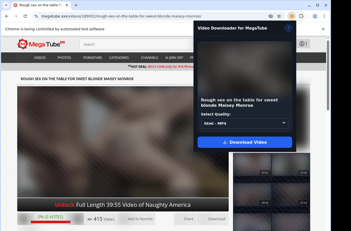 Megatube Video Downloader screenshot 3